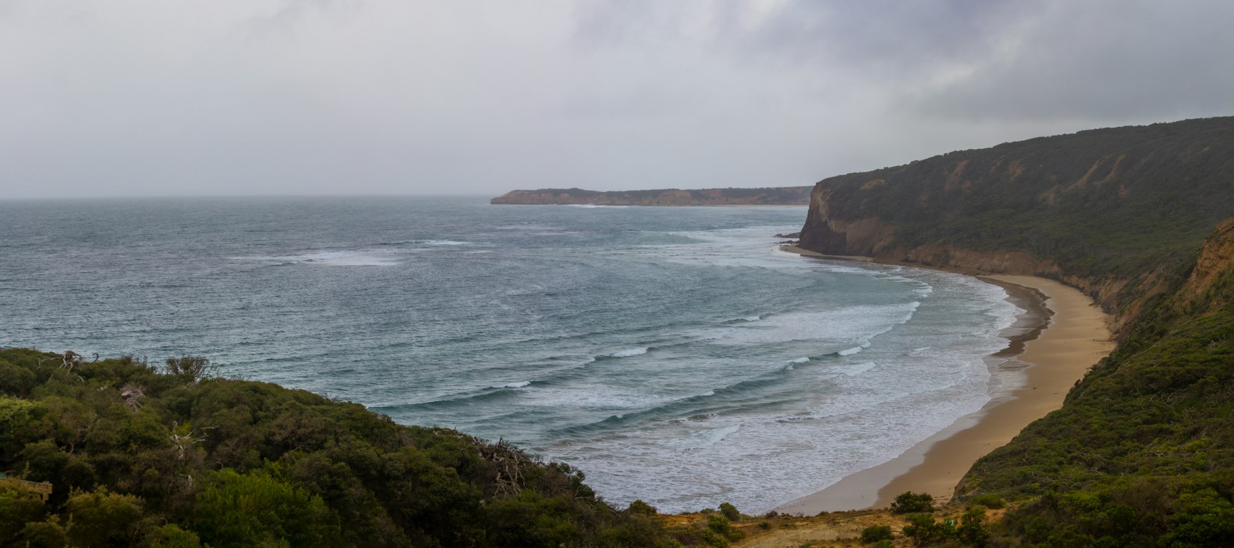 Calm ocean view from a green headland